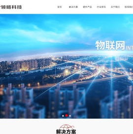 重庆领略科技有限公司