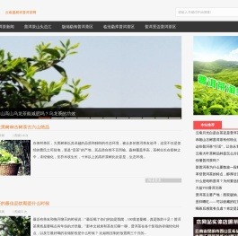 云南老班章冰岛昔归易武曼松古树普洱茶特点