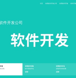 东莞软件外包公司