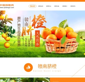 赣南脐橙