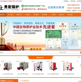 专注蒸汽发生器