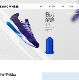 石狮市飞轮线带织造有限公司