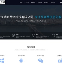青岛武略网络科技有限公司