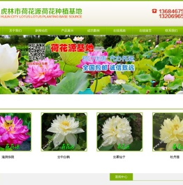 虎林市荷花源荷花种植基地