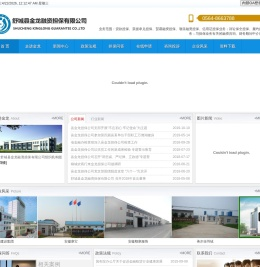 舒城县金龙融资担保有限公司