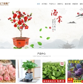 仙桃市阿拉丁苗圃厂