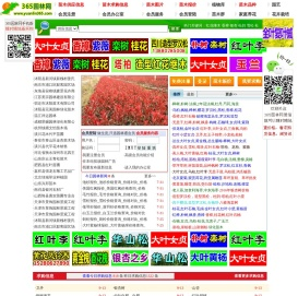365园林网
