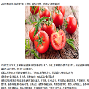 离子束刻蚀机,感应耦合等离子体刻蚀机,磁控溅射镀膜机,北京创世威纳科技有限公司