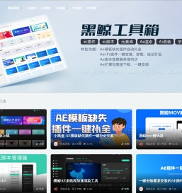 黑鲸网