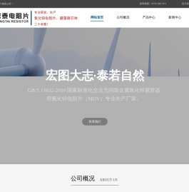浙江宏泰电阻片有限公司