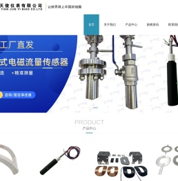 河南天俊仪表有限公司