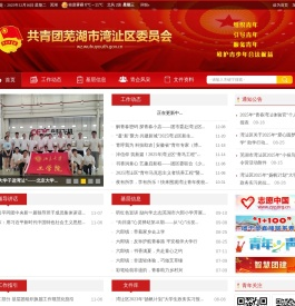 共青团芜湖市湾b区委员会