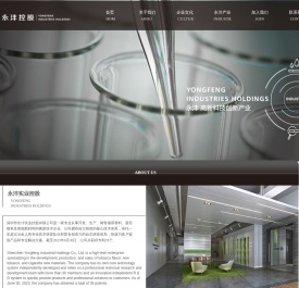 深圳市永沣实业控股有限公司