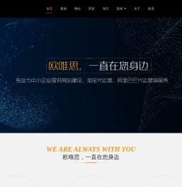 东莞市欧唯思网络科技有限公司