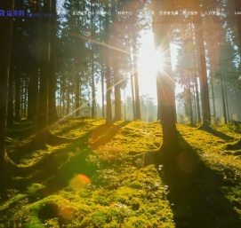 广东溢多利生物科技股份有限公司