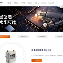 浙江威星智能仪表股份有限公司