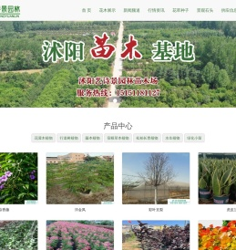 绿化苗木公司