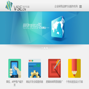 维萨文化