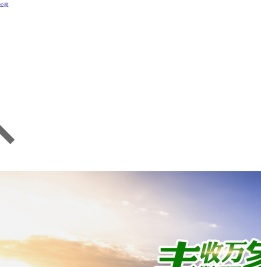 小麦种子