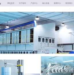 安徽丽华无纺布股份有限公司