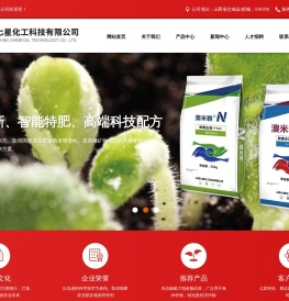 山西七星化工科技有限公司