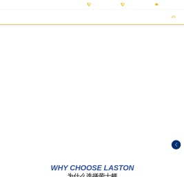 浙江劳士顿科技股份有限公司