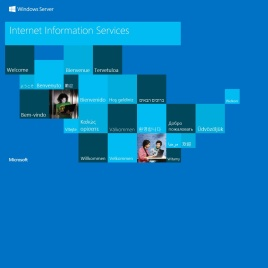 大熊猫免费建站（免费做网站）