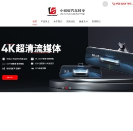 深圳市小蚂蚁汽车科技有限公司