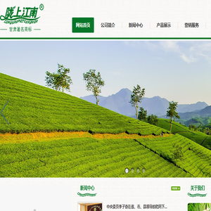梅园茶叶,甘肃茶叶,陇南茶叶,康县阳坝梅园茶厂