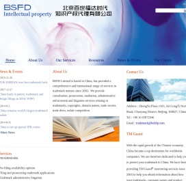BSFDIP