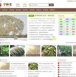 学种菜网