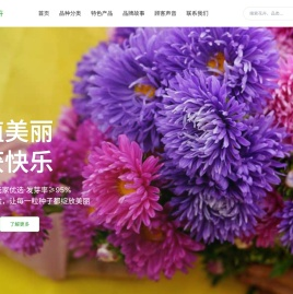 金秋花卉种子