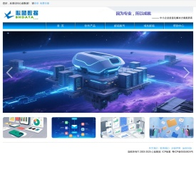 软件开发