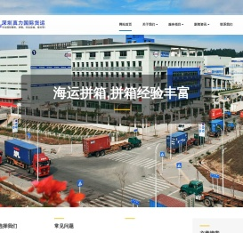 深圳市真力国际货运代理有限公司