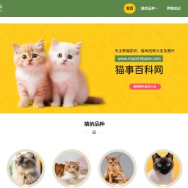 猫事百科网