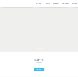 雷朋汽车膜