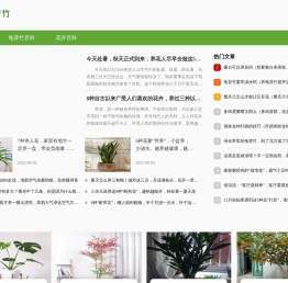 龟背竹知识网