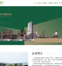 福州鼎式辉电气有限公司