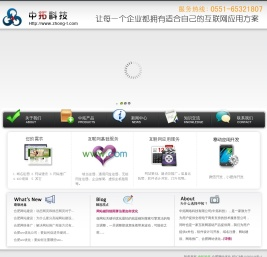 合肥网站优化