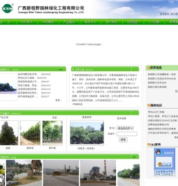 广西新视野园林绿化工程有限公司