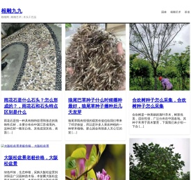 根雕九九