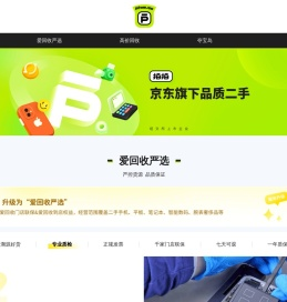 拍拍