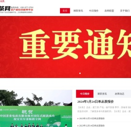 潮茶网