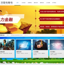 深圳市深国电售电有限公司