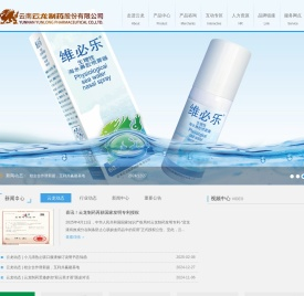 云南云龙制药股份有限公司