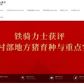铁骑力士