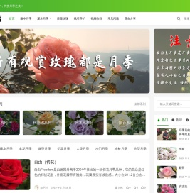 月季花谱