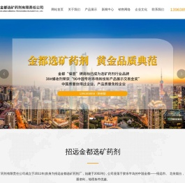 招远金都选矿药剂有限责任公司