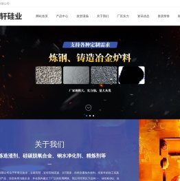 安阳市昊轩硅业有限公司