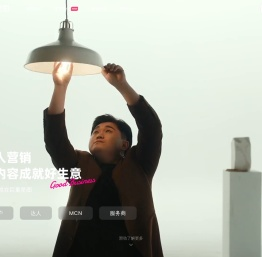 巨量星图